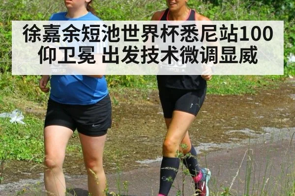 徐嘉余短池世界杯悉尼站100仰卫冕 出发技术微调显威